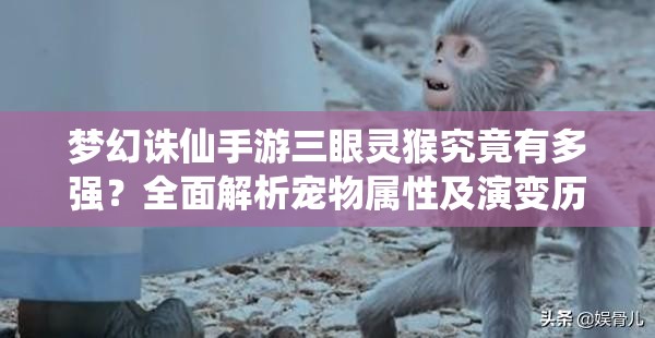 梦幻诛仙手游三眼灵猴究竟有多强？全面解析宠物属性及演变历程