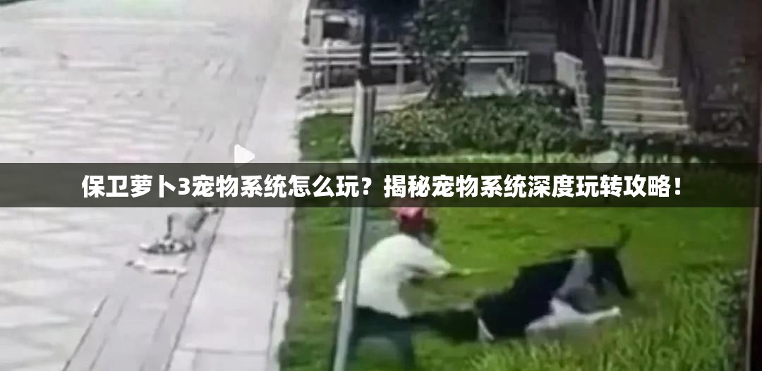 保卫萝卜3宠物系统怎么玩？揭秘宠物系统深度玩转攻略！