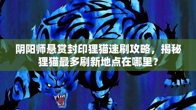 阴阳师悬赏封印狸猫速刷攻略，揭秘狸猫最多刷新地点在哪里？