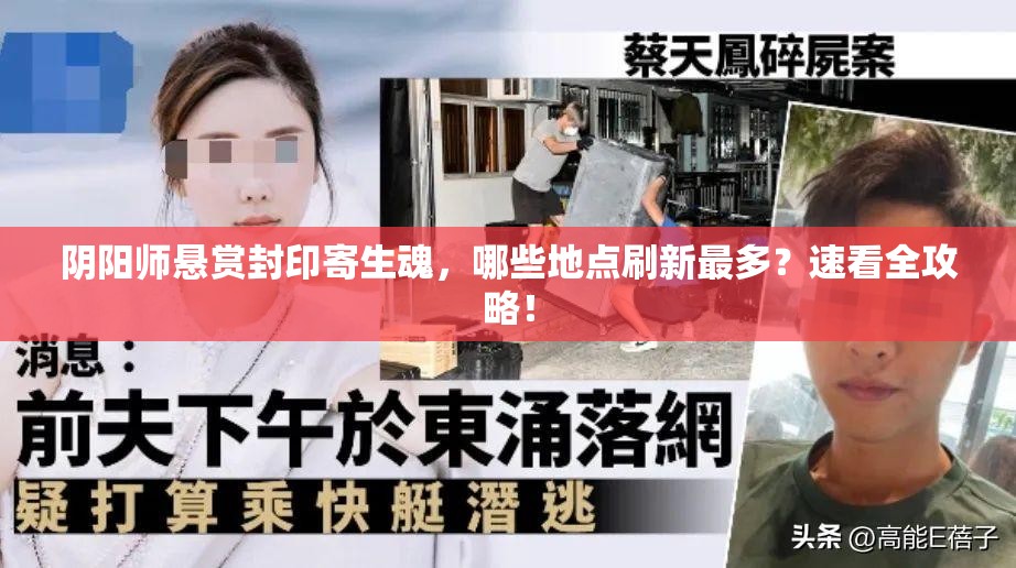 阴阳师悬赏封印寄生魂，哪些地点刷新最多？速看全攻略！