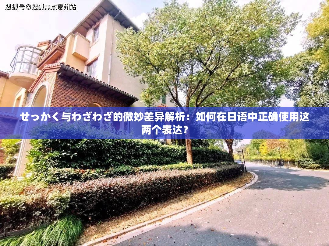 せっかく与わざわざ的微妙差异解析：如何在日语中正确使用这两个表达？