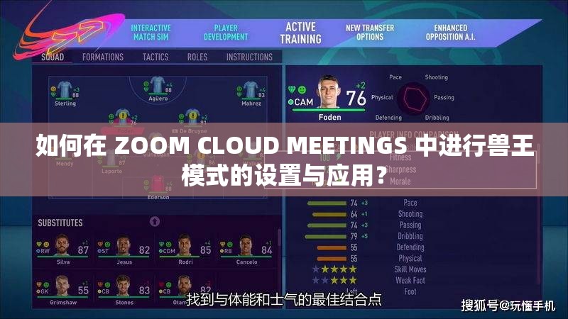 如何在 ZOOM CLOUD MEETINGS 中进行兽王模式的设置与应用？