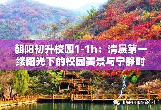 朝阳初升校园1-1h：清晨第一缕阳光下的校园美景与宁静时光