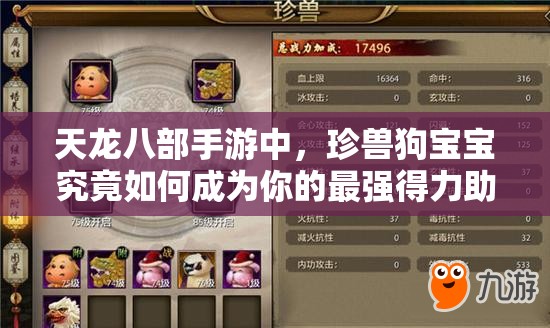 天龙八部手游中，珍兽狗宝宝究竟如何成为你的最强得力助手？