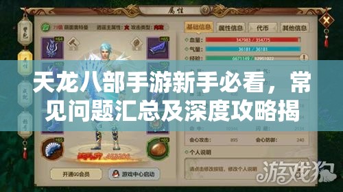 天龙八部手游新手必看，常见问题汇总及深度攻略揭秘？