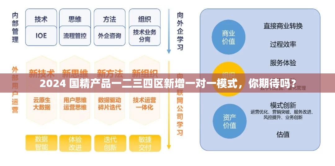 2024 国精产品一二三四区新增一对一模式，你期待吗？