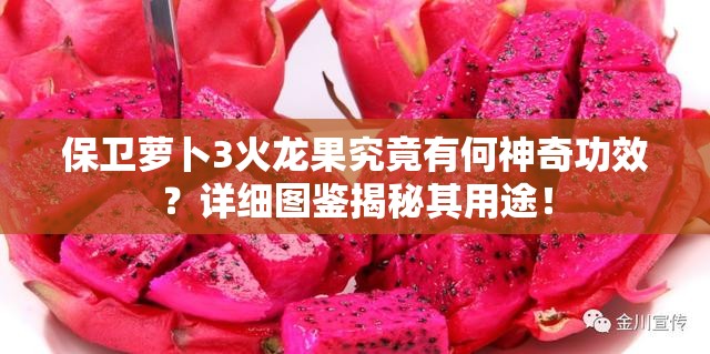 保卫萝卜3火龙果究竟有何神奇功效？详细图鉴揭秘其用途！
