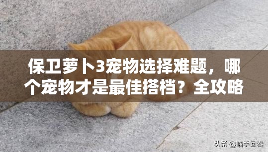 保卫萝卜3宠物选择难题，哪个宠物才是最佳搭档？全攻略揭秘！