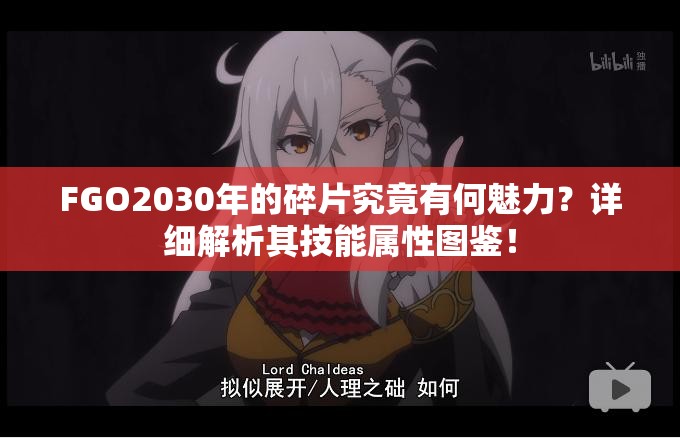 FGO2030年的碎片究竟有何魅力？详细解析其技能属性图鉴！