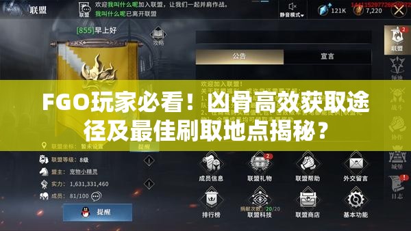 FGO玩家必看！凶骨高效获取途径及最佳刷取地点揭秘？
