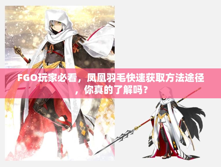 FGO玩家必看，凤凰羽毛快速获取方法途径，你真的了解吗？