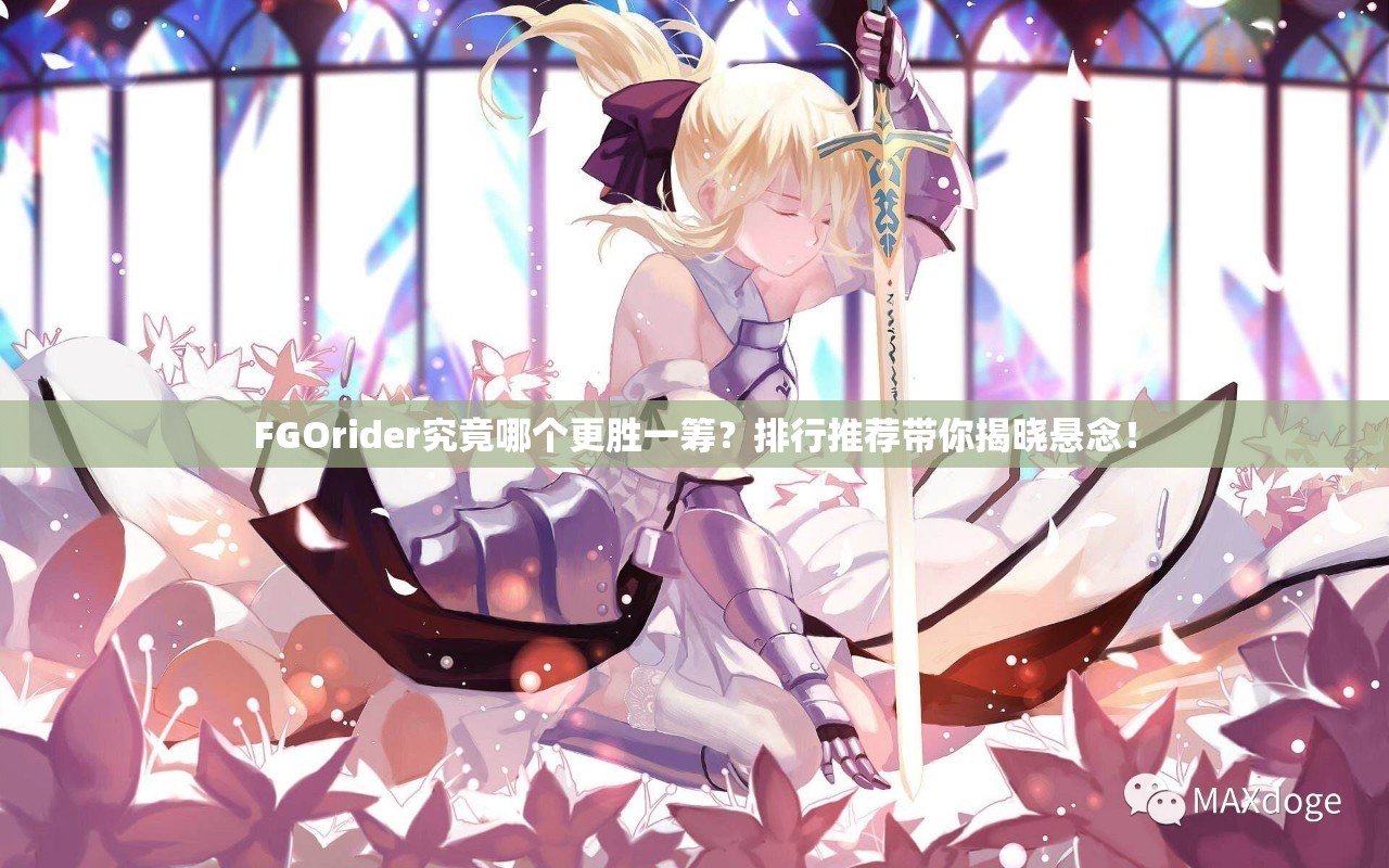 FGOrider究竟哪个更胜一筹？排行推荐带你揭晓悬念！