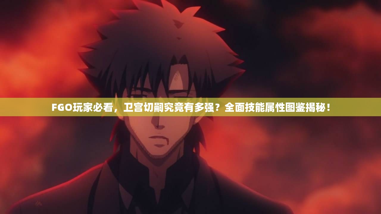 FGO玩家必看，卫宫切嗣究竟有多强？全面技能属性图鉴揭秘！