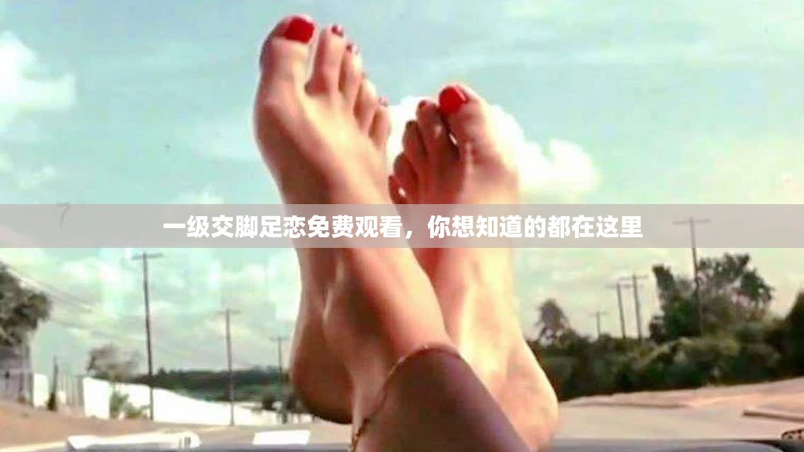 一级交脚足恋免费观看，你想知道的都在这里