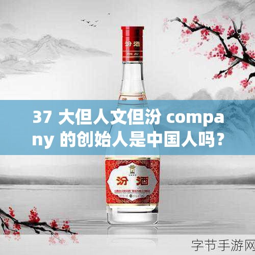 37 大但人文但汾 company 的创始人是中国人吗？