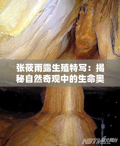 张莜雨露生殖特写：揭秘自然奇观中的生命奥秘与生态平衡的关键作用