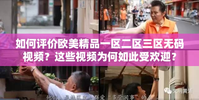 如何评价欧美精品一区二区三区无码视频？这些视频为何如此受欢迎？