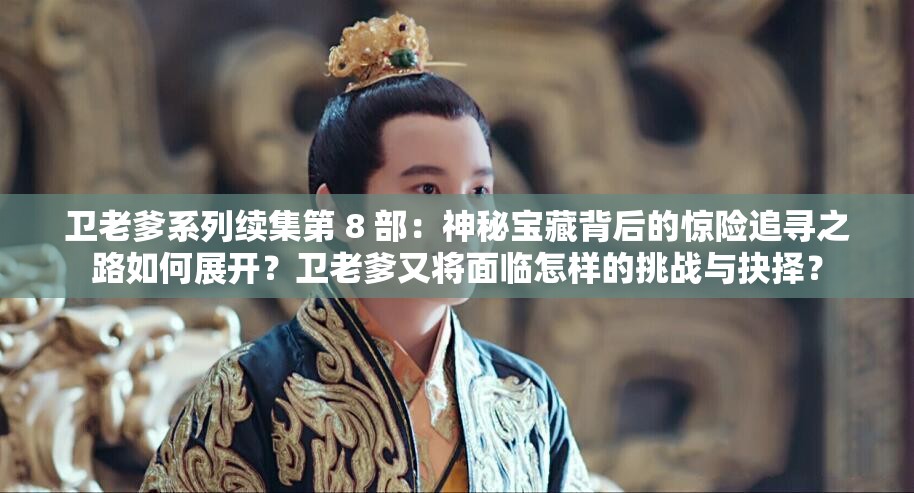 卫老爹系列续集第 8 部：神秘宝藏背后的惊险追寻之路如何展开？卫老爹又将面临怎样的挑战与抉择？