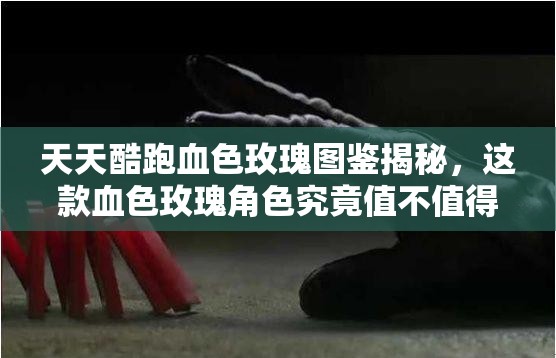 天天酷跑血色玫瑰图鉴揭秘，这款血色玫瑰角色究竟值不值得入手？