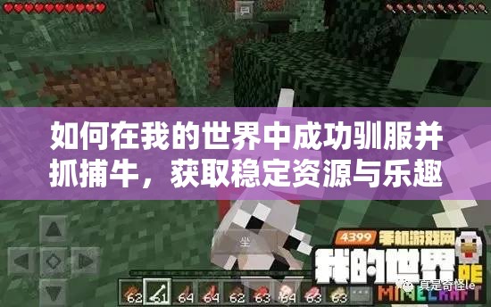 如何在我的世界中成功驯服并抓捕牛，获取稳定资源与乐趣？