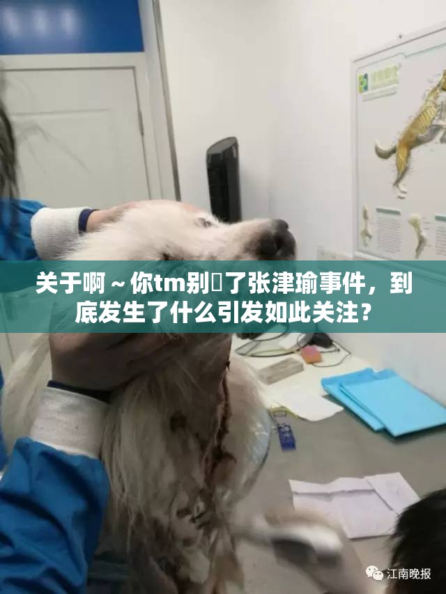 关于啊～你tm别㖭了张津瑜事件，到底发生了什么引发如此关注？
