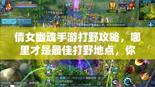 倩女幽魂手游打野攻略，哪里才是最佳打野地点，你选对了吗？