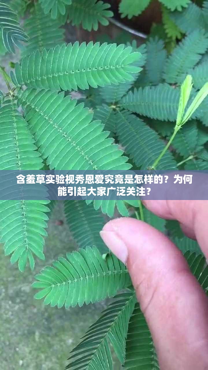 含羞草实验视秀恩爱究竟是怎样的？为何能引起大家广泛关注？