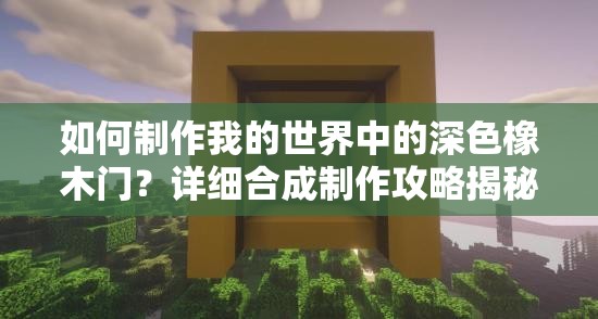 如何制作我的世界中的深色橡木门？详细合成制作攻略揭秘！