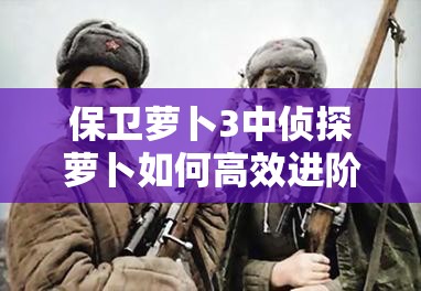 保卫萝卜3中侦探萝卜如何高效进阶？揭秘侦探萝卜进阶全攻略！