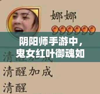 阴阳师手游中，鬼女红叶御魂如何搭配才能达到最强效果？
