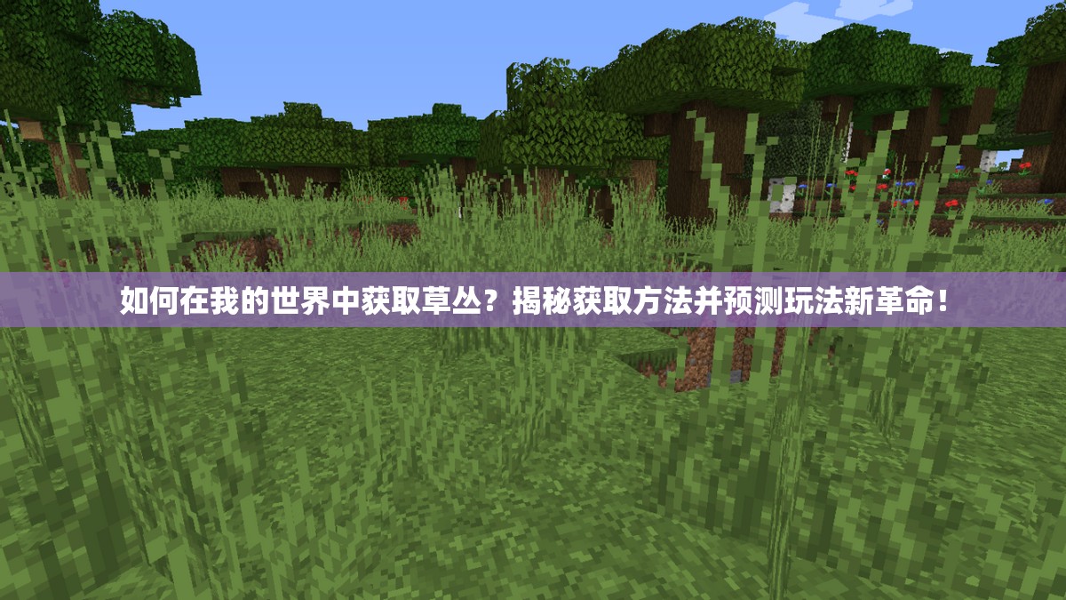 如何在我的世界中获取草丛？揭秘获取方法并预测玩法新革命！