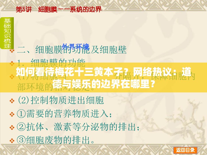 如何看待梅花十三黄本子？网络热议：道德与娱乐的边界在哪里？