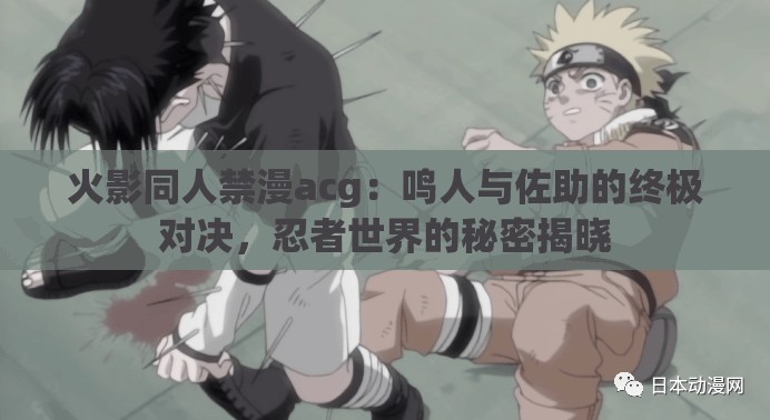 火影同人禁漫acg：鸣人与佐助的终极对决，忍者世界的秘密揭晓