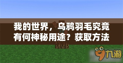 我的世界，乌鸦羽毛究竟有何神秘用途？获取方法又隐藏着什么秘密？
