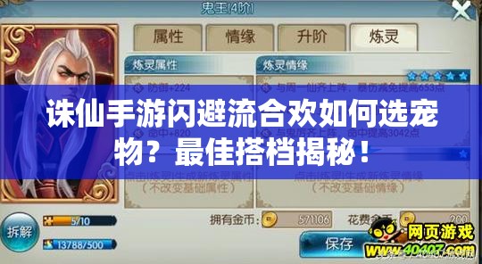 诛仙手游闪避流合欢如何选宠物？最佳搭档揭秘！