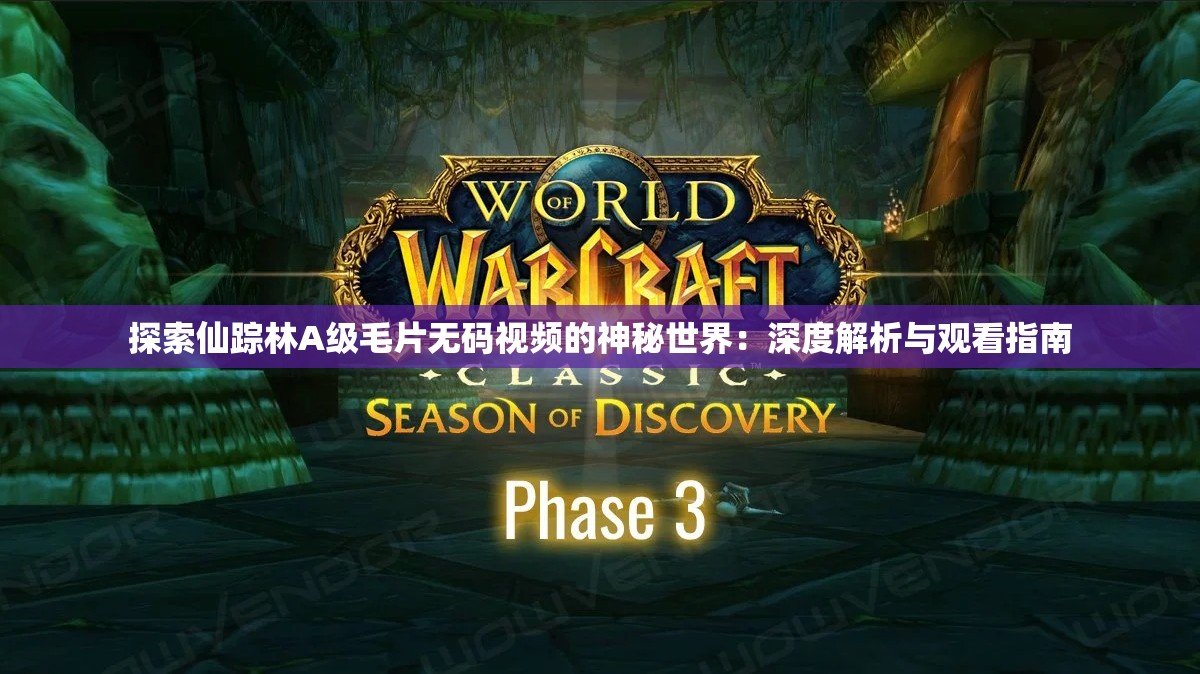 探索仙踪林A级毛片无码视频的神秘世界：深度解析与观看指南
