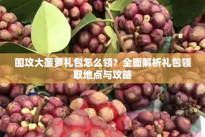 围攻大菠萝礼包怎么领？全面解析礼包领取地点与攻略