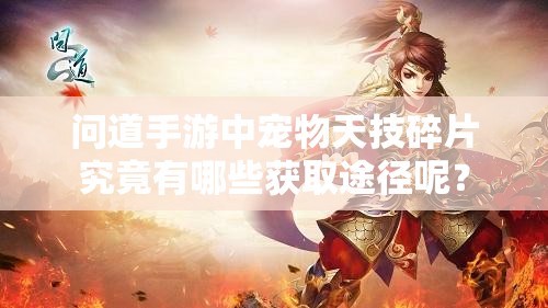 问道手游中宠物天技碎片究竟有哪些获取途径呢？