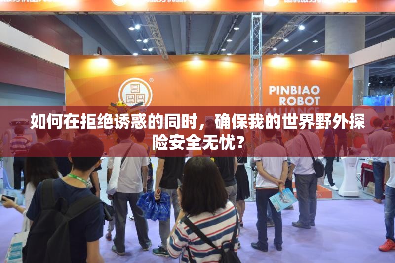 如何在拒绝诱惑的同时，确保我的世界野外探险安全无忧？