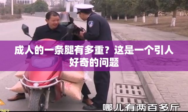 成人的一条腿有多重？这是一个引人好奇的问题