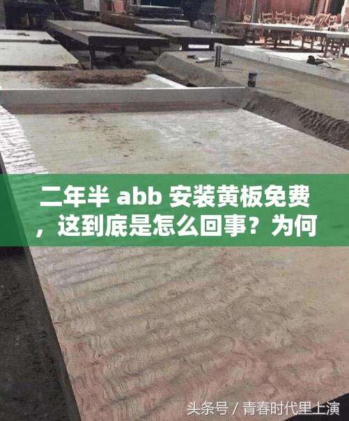 二年半 abb 安装黄板免费，这到底是怎么回事？为何如此吸引人？