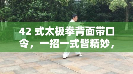 42 式太极拳背面带口令，一招一式皆精妙，强身健体又养心