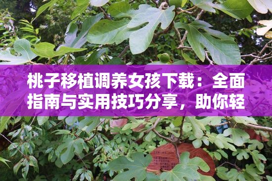 桃子移植调养女孩下载：全面指南与实用技巧分享，助你轻松掌握健康养护方法