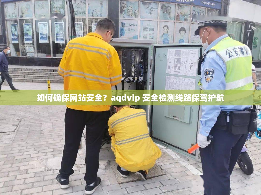 如何确保网站安全？aqdvip 安全检测线路保驾护航