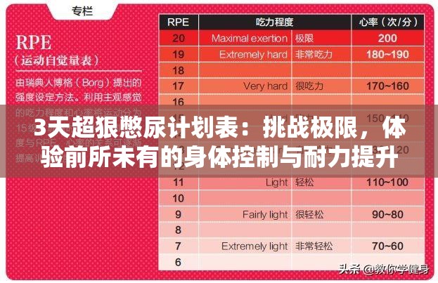 3天超狠憋尿计划表：挑战极限，体验前所未有的身体控制与耐力提升