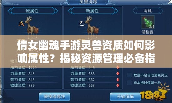 倩女幽魂手游灵兽资质如何影响属性？揭秘资源管理必备指南！