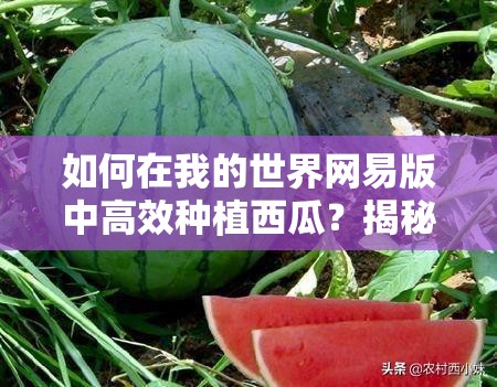 如何在我的世界网易版中高效种植西瓜？揭秘资源管理艺术！