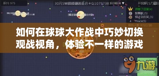 如何在球球大作战中巧妙切换观战视角，体验不一样的游戏盛宴？