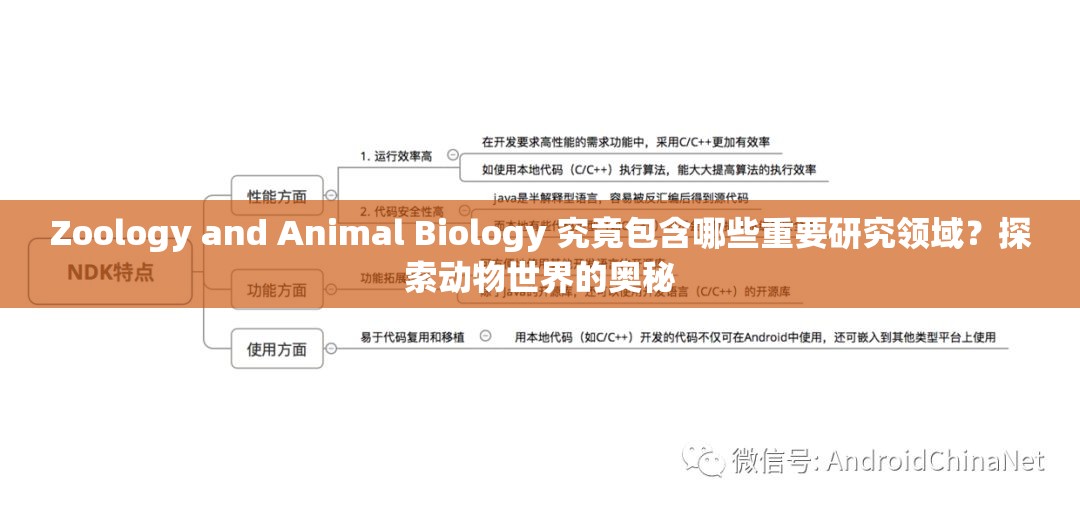Zoology and Animal Biology 究竟包含哪些重要研究领域？探索动物世界的奥秘