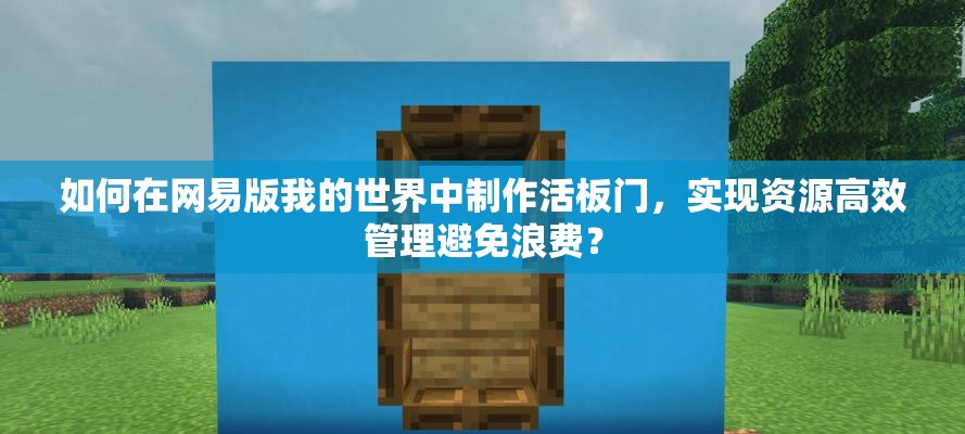 如何在网易版我的世界中制作活板门，实现资源高效管理避免浪费？